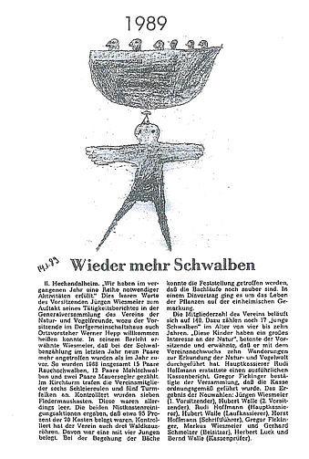 Schwalben 1989